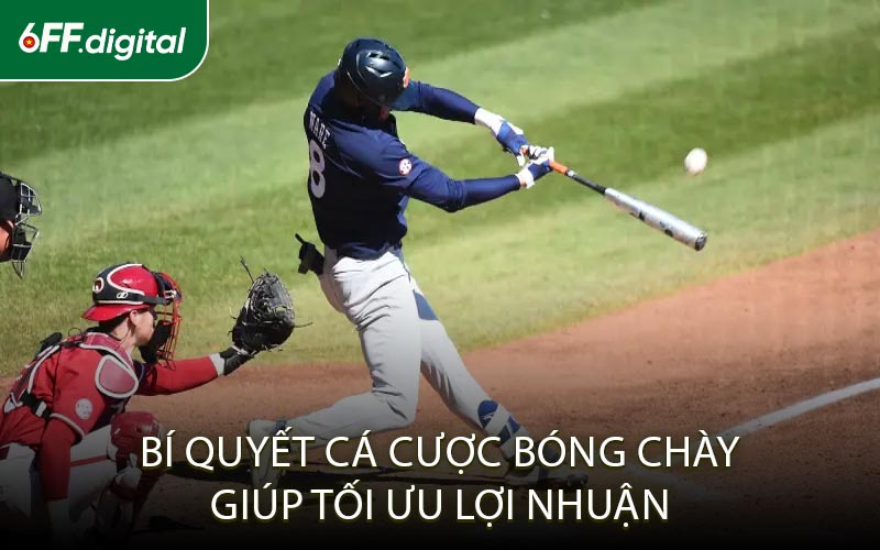 Bí Quyết Cá Cược Bóng Chày Giúp Tối Ưu Lợi Nhuận