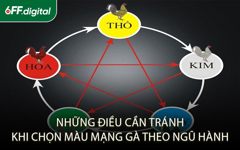Những Điều Cần Tránh Khi Chọn Màu Mạng Gà Theo Ngũ Hành