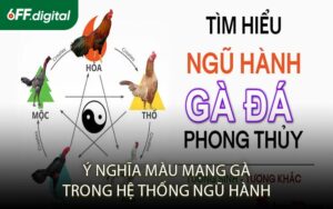 Ý Nghĩa Màu Mạng Gà Trong Hệ Thống Ngũ Hành