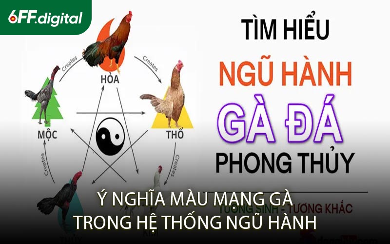 Ý Nghĩa Màu Mạng Gà Trong Hệ Thống Ngũ Hành